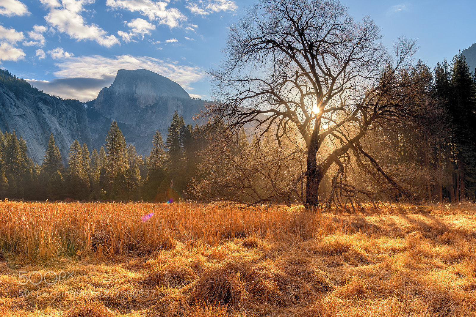 Nikon D850 sample photo. Cooks meadow, yosemite, ca photography