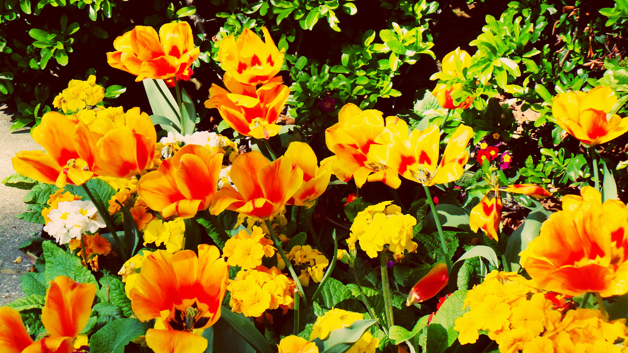 Samsung Galaxy Camera (Wi-Fi) sample photo. Eaaeo photography