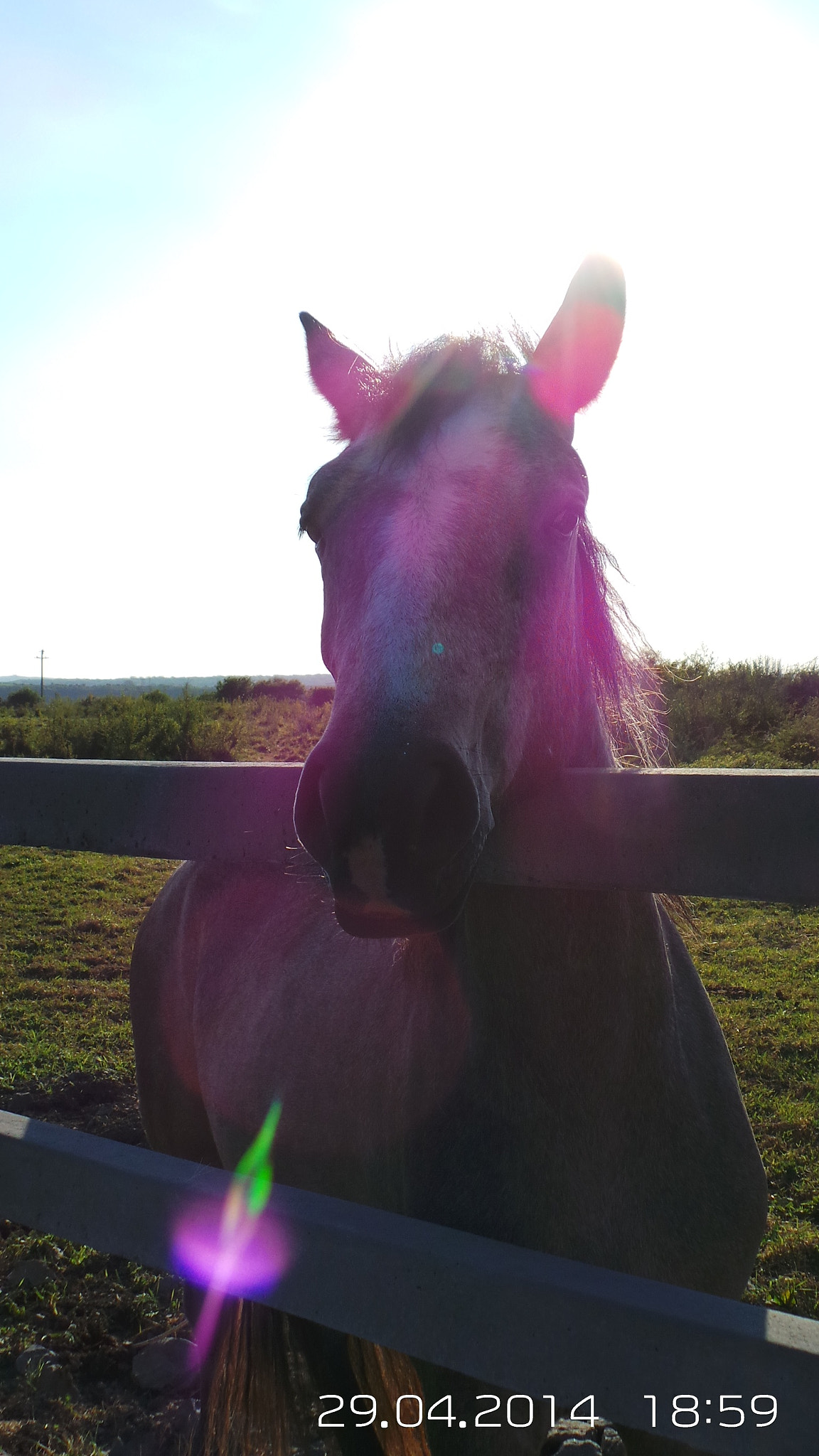Samsung Galaxy Camera (Wi-Fi) sample photo. Aeaa o photography