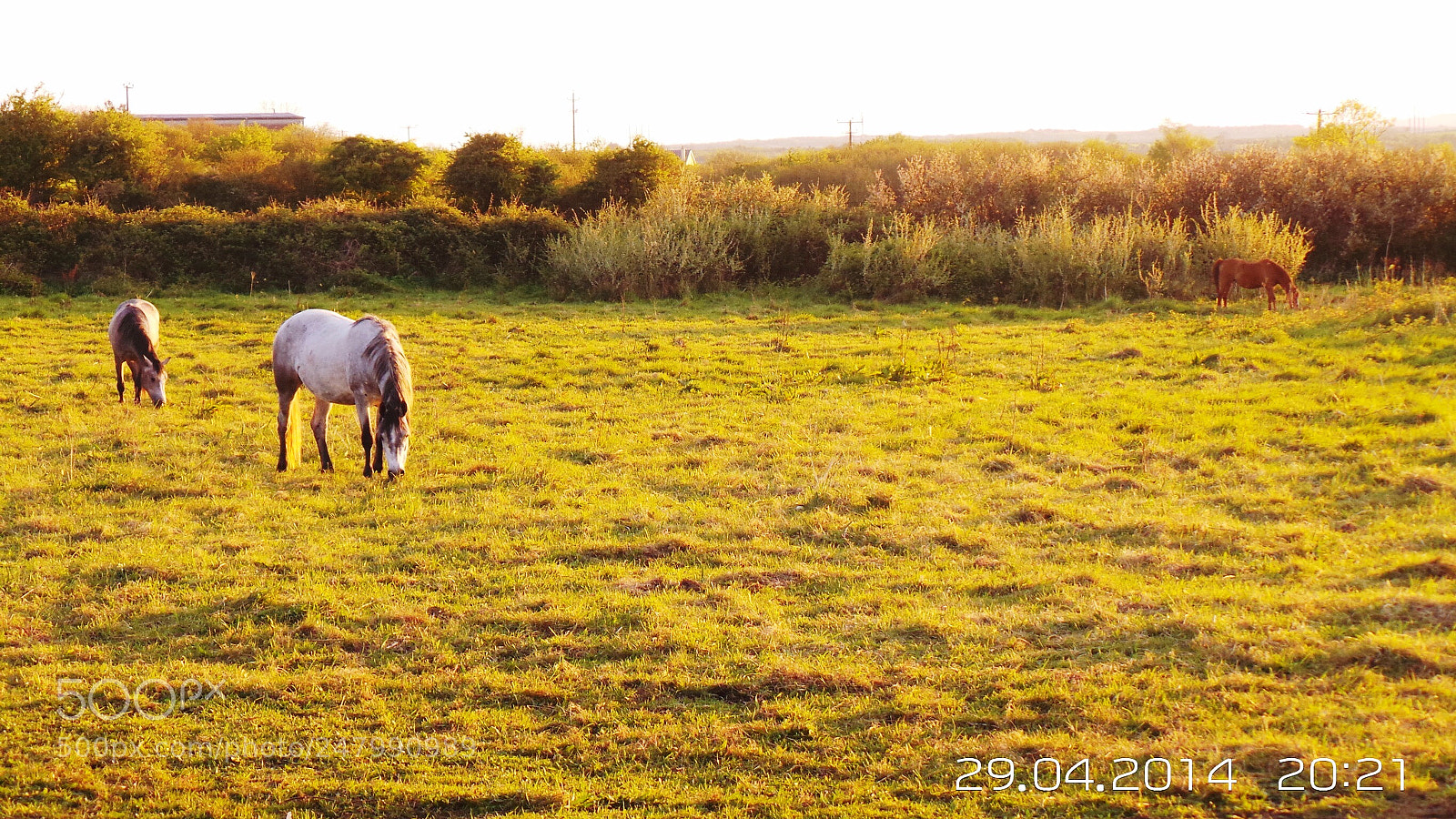 Samsung Galaxy Camera (Wi-Fi) sample photo. Img photography