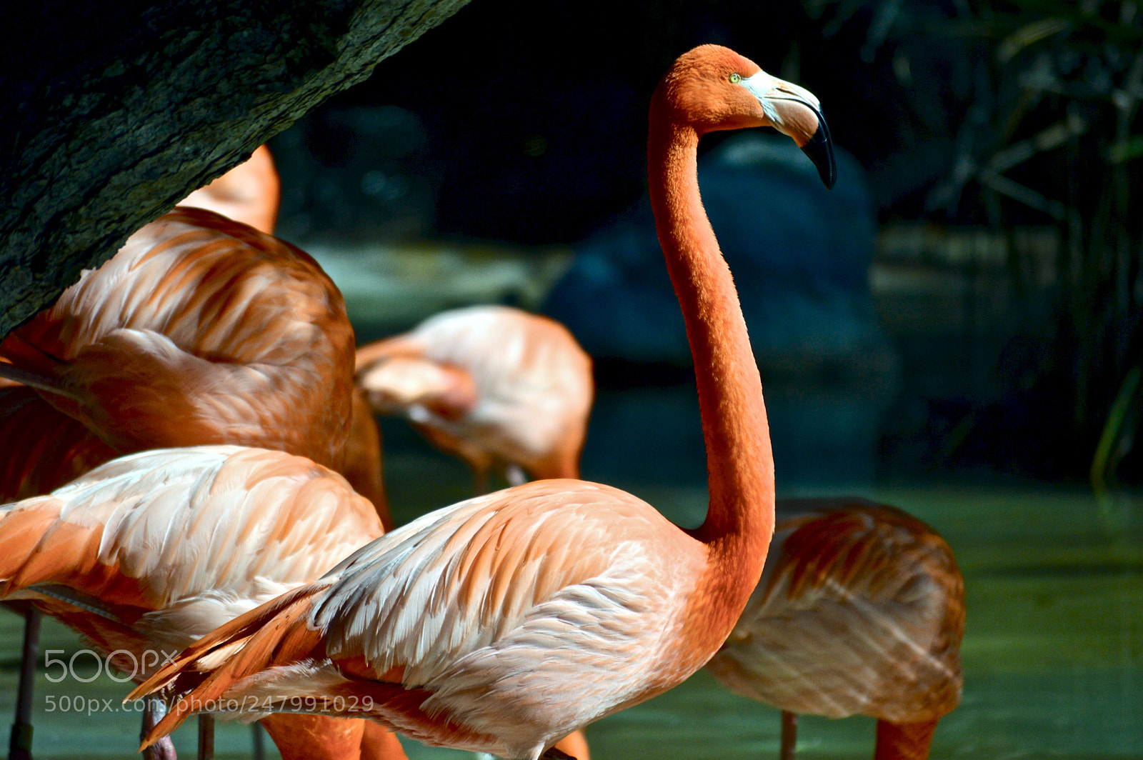 Nikon D3200 sample photo. Standing tall photography