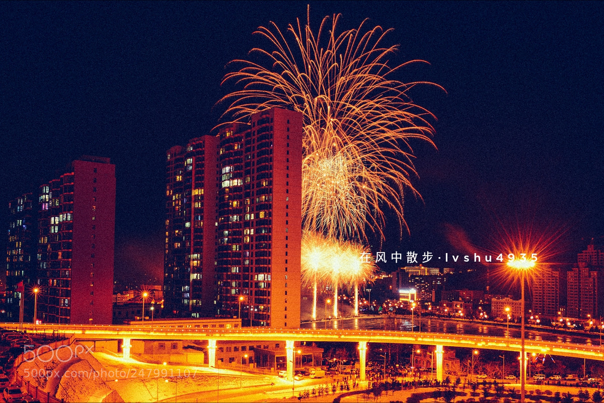 Nikon D800 sample photo. Untitled photography