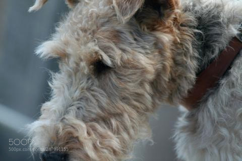 Canon EOS 350D (EOS Digital Rebel XT / EOS Kiss Digital N) sample photo. Ecfeao photography