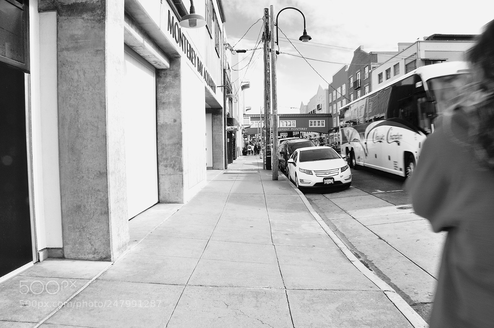 Nikon D90 sample photo. Untitled photography