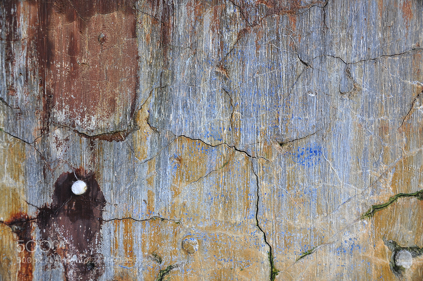Nikon D90 sample photo. Untitled photography