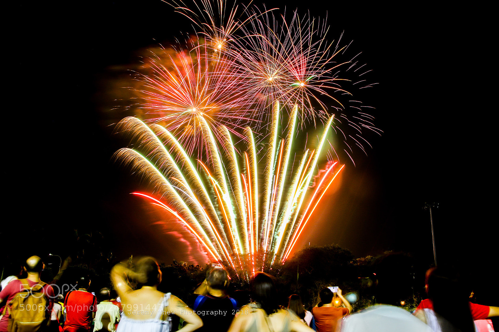 Canon EOS 700D (EOS Rebel T5i / EOS Kiss X7i) sample photo. Blossom fireworks photography