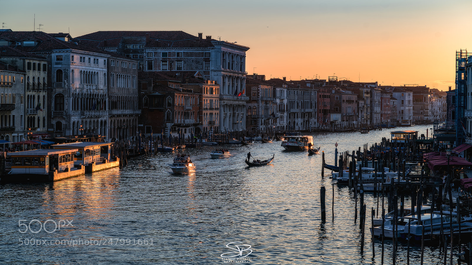 Sony a7R II sample photo. Dsc photography