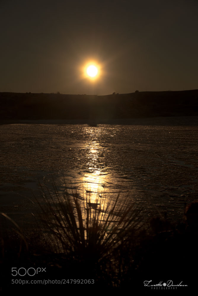 Nikon D610 sample photo. Sunset on the lake photography