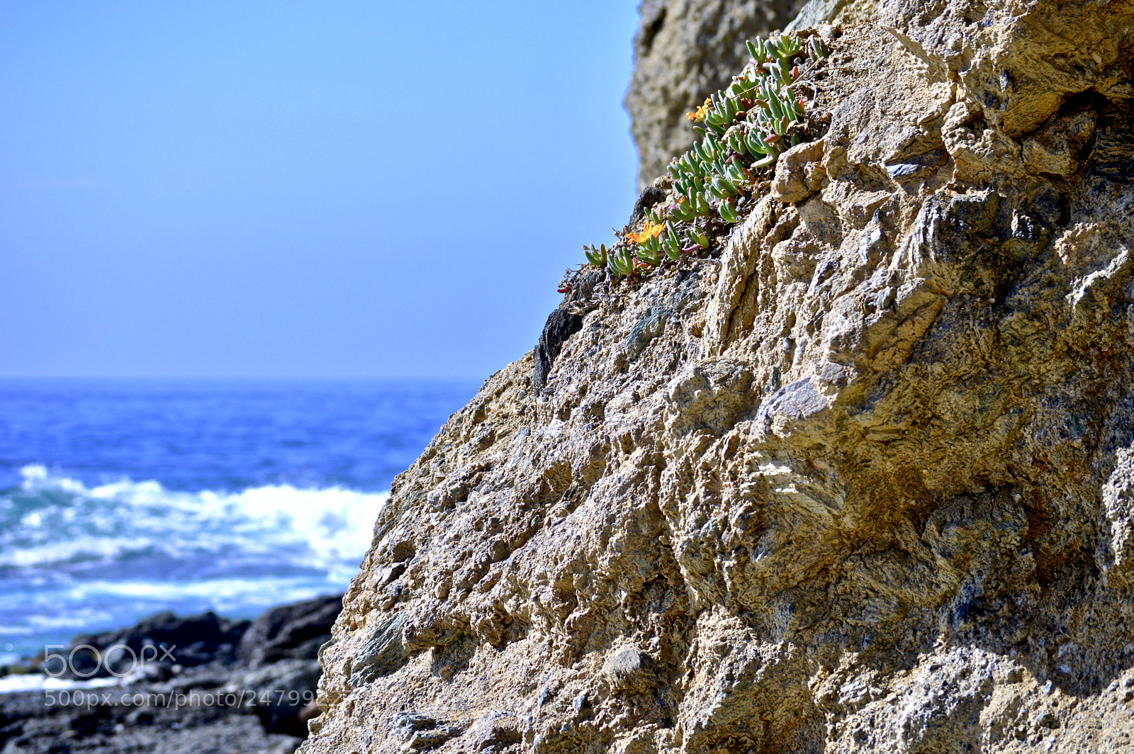 Nikon D3200 sample photo. Catching some rays photography