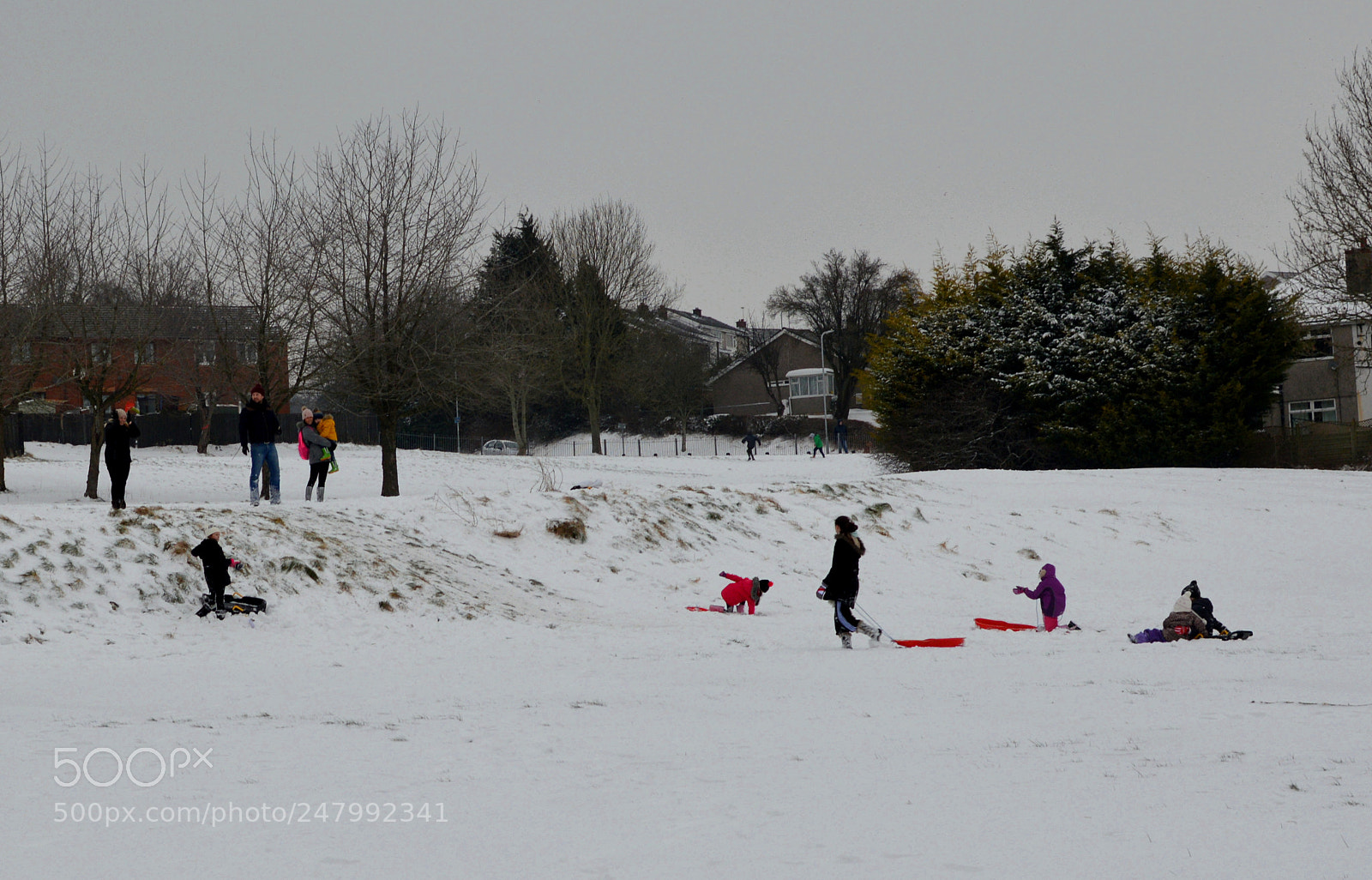 Nikon D3200 + Nikon AF-S DX Nikkor 35mm F1.8G sample photo. Winter play photography
