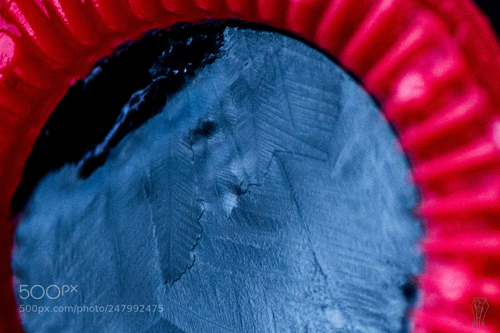 Nikon D810 sample photo. Untitled photography
