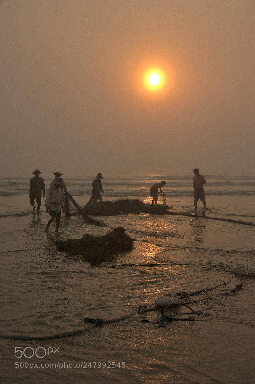 Nikon D700 sample photo. Catch fish in morning photography