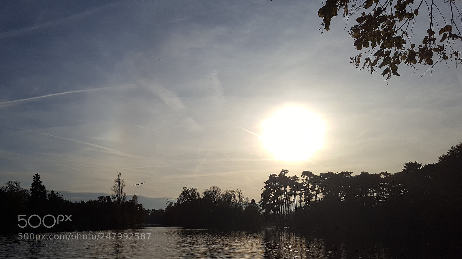Samsung GALAXY S6 edge sample photo. Evening by the lake photography