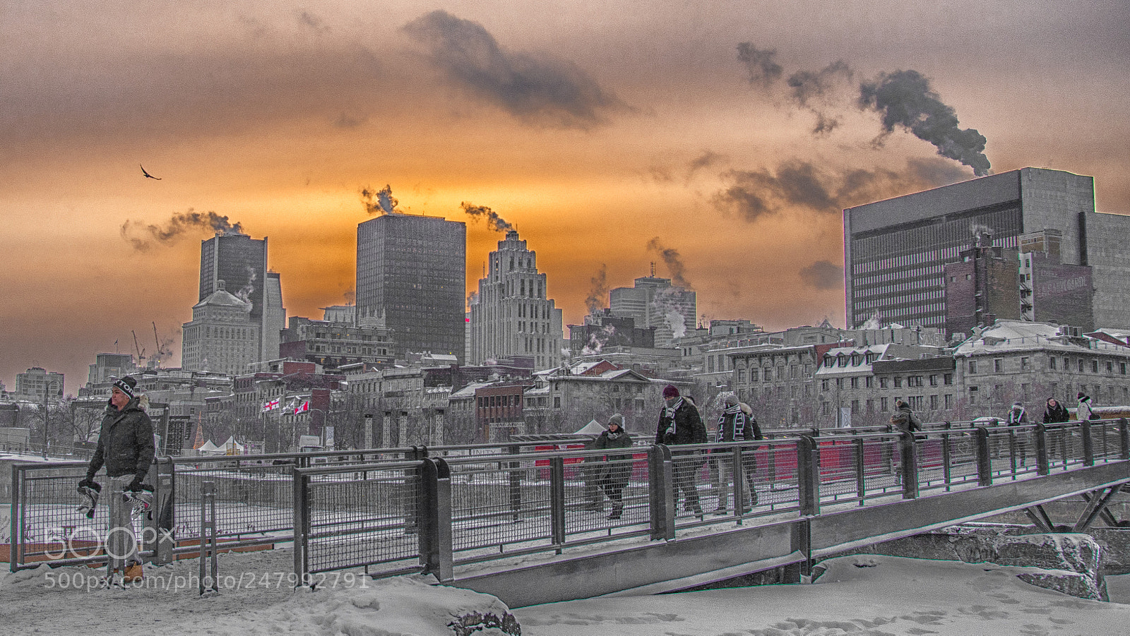 Nikon D500 sample photo. Frozen in time photography