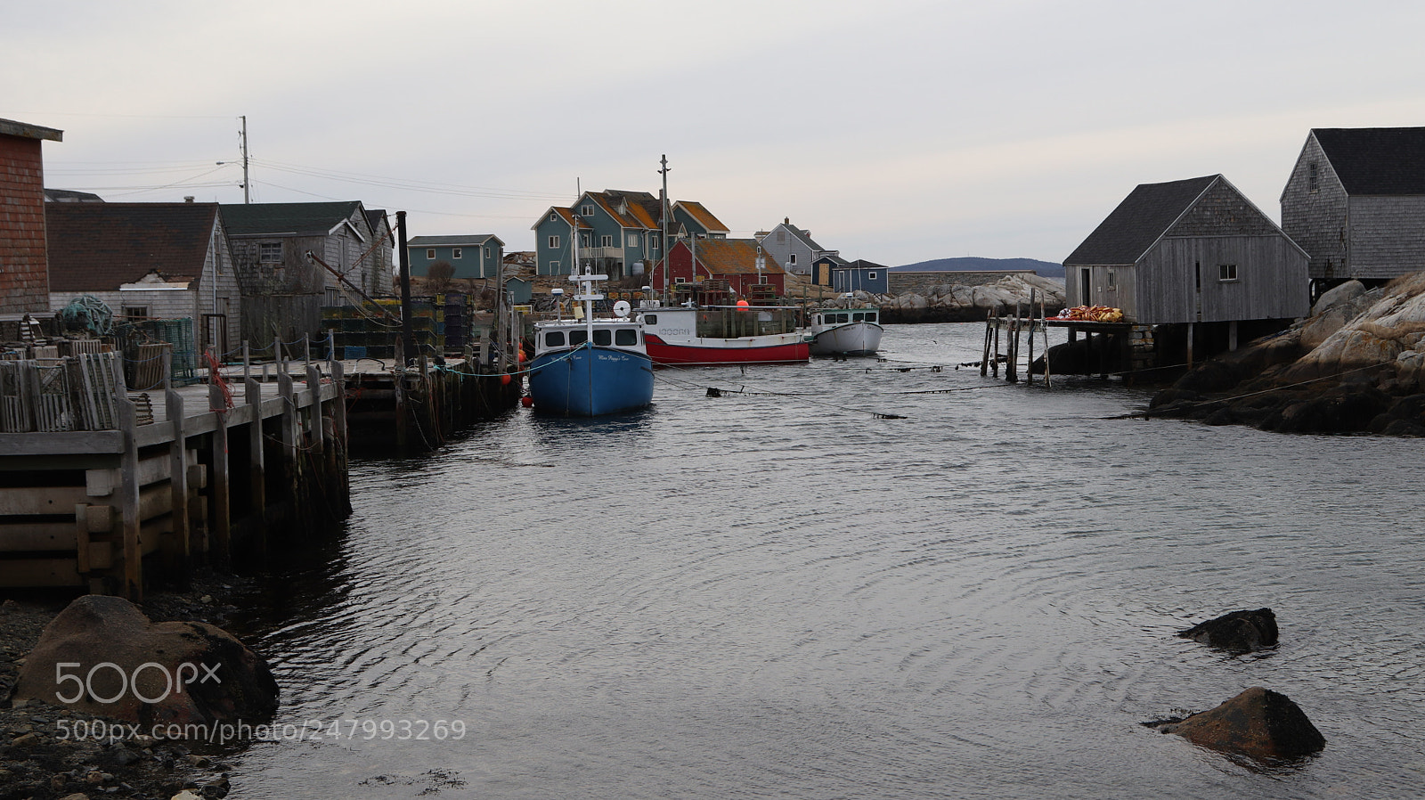 Canon EOS 800D (EOS Rebel T7i / EOS Kiss X9i) sample photo. Peggy's cove by kelly photography