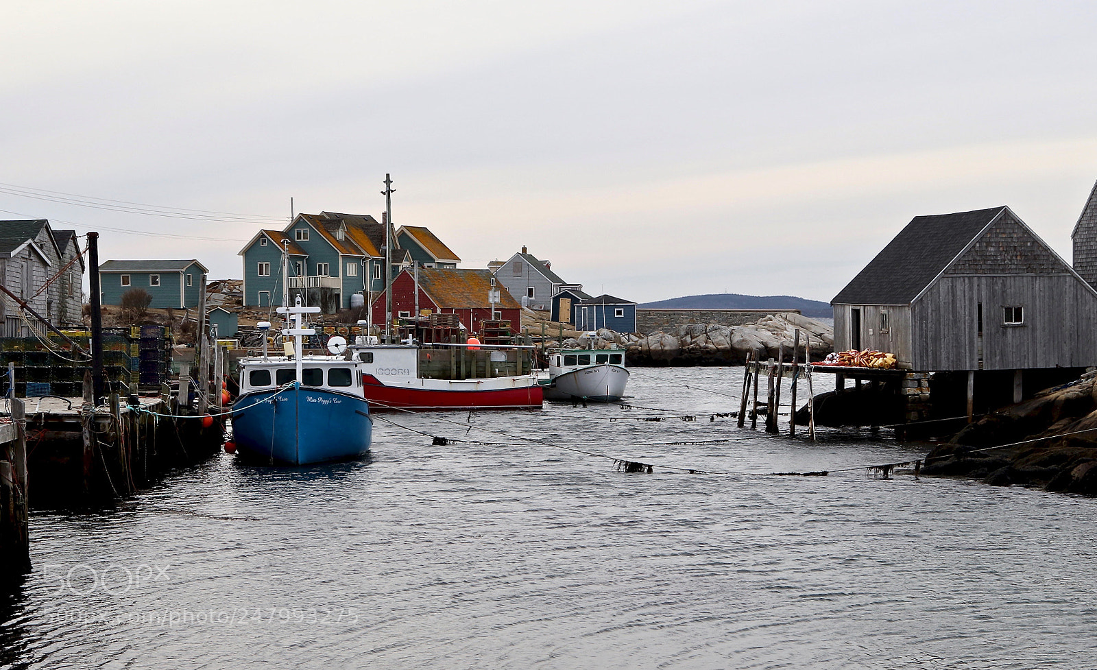 Canon EOS 800D (EOS Rebel T7i / EOS Kiss X9i) sample photo. Peggy's cove by kelly photography