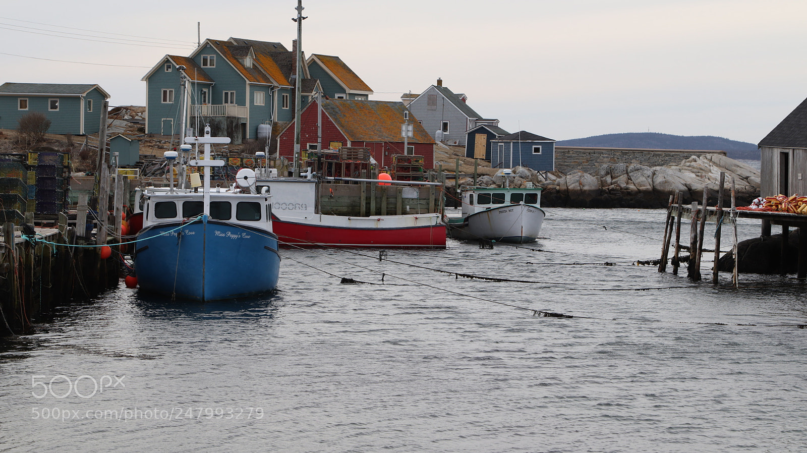 Canon EOS 800D (EOS Rebel T7i / EOS Kiss X9i) sample photo. Peggy's cove by kelly photography
