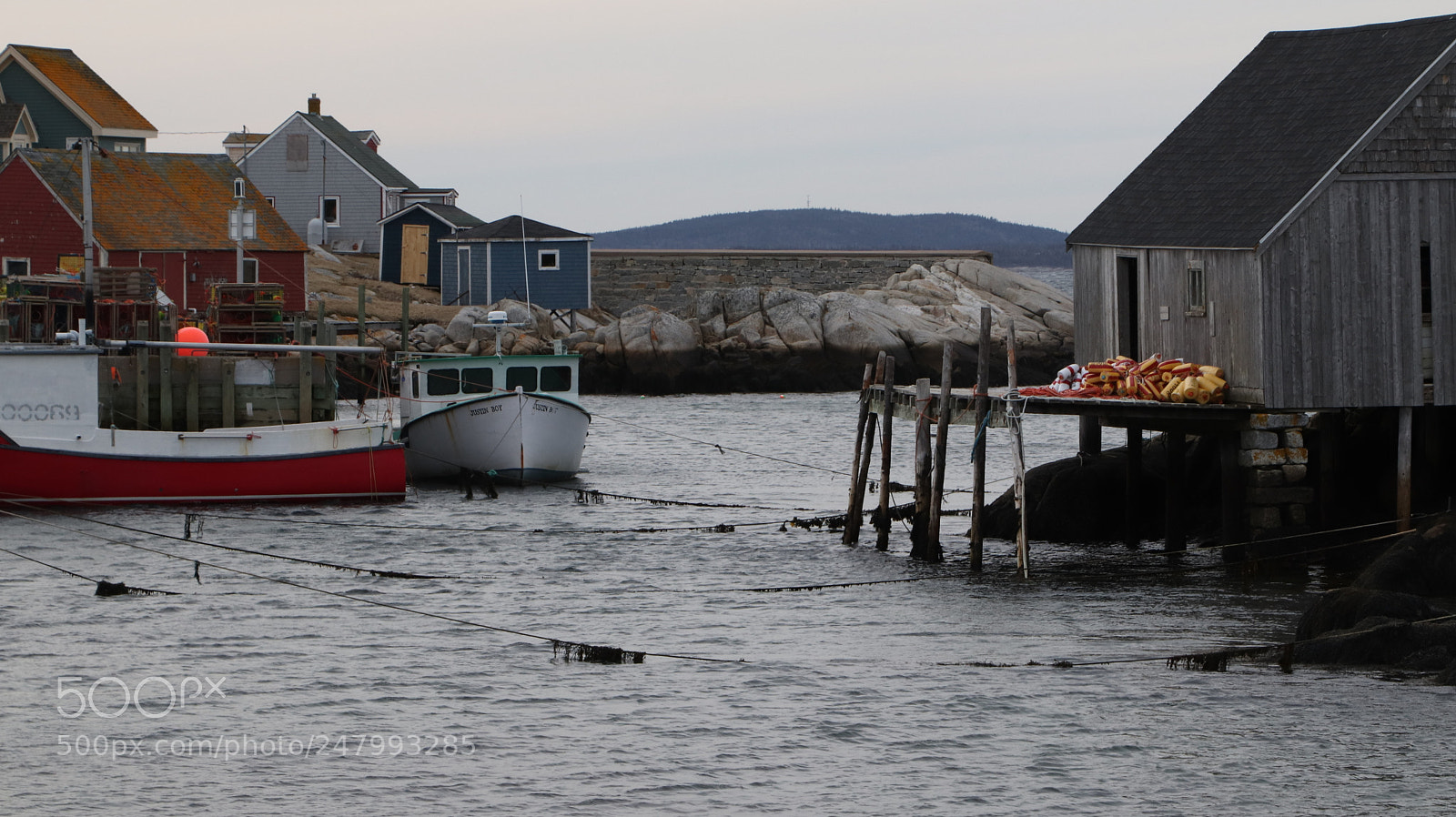 Canon EOS 800D (EOS Rebel T7i / EOS Kiss X9i) sample photo. Peggy's cove by kelly photography