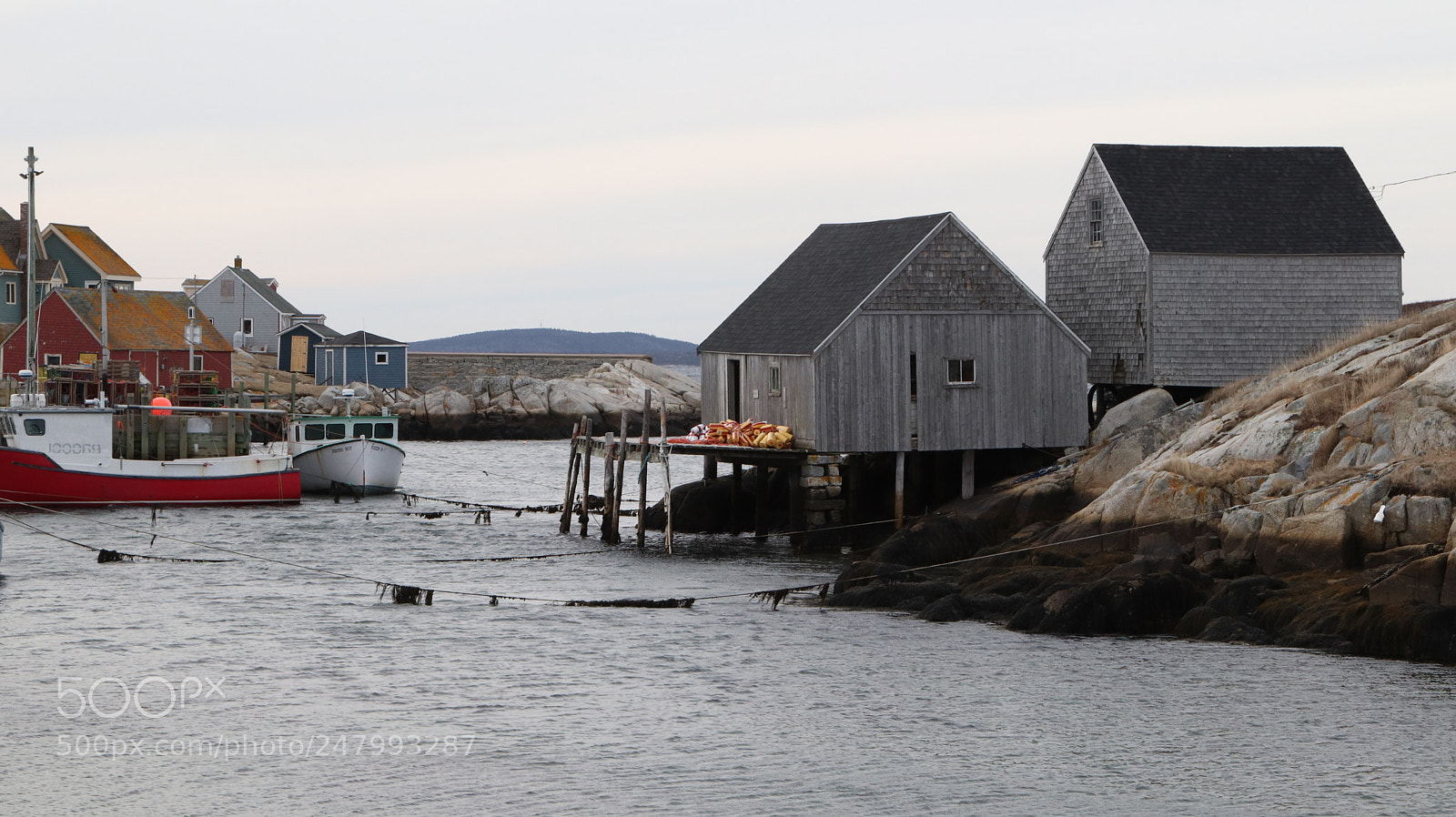 Canon EOS 800D (EOS Rebel T7i / EOS Kiss X9i) sample photo. Peggy's cove by kelly photography