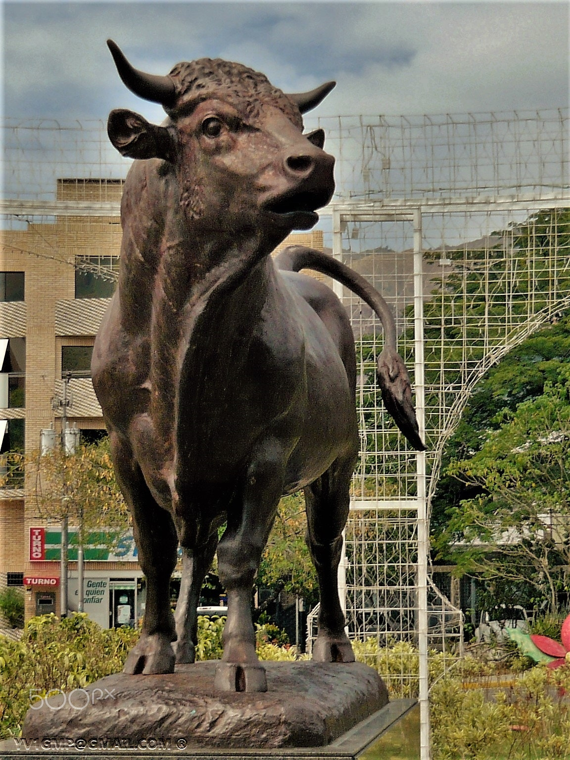 Panasonic Lumix DMC-LS80 sample photo. El toro de las delicias photography