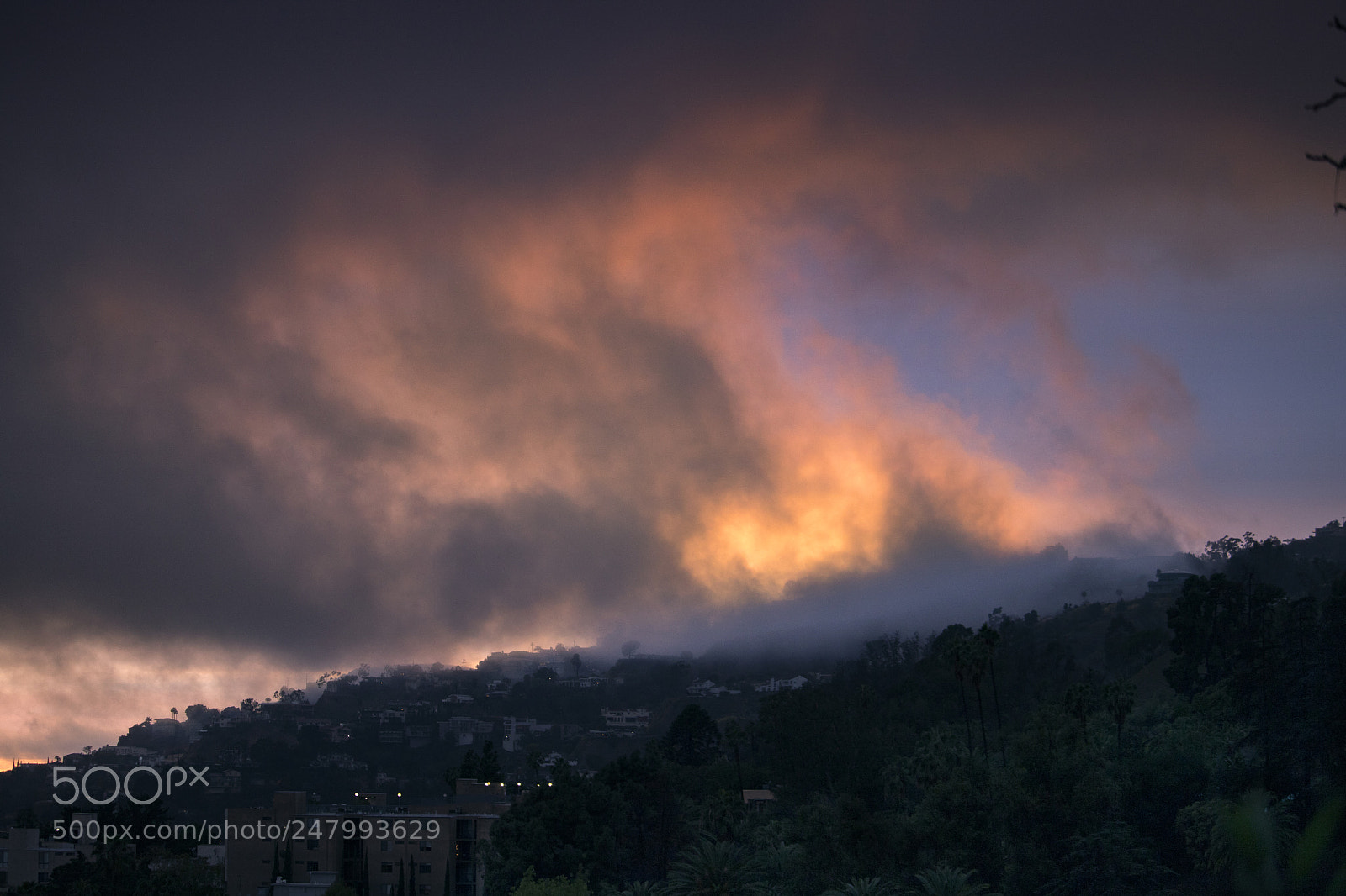 Canon EOS 750D (EOS Rebel T6i / EOS Kiss X8i) sample photo. Hollywood rain photography