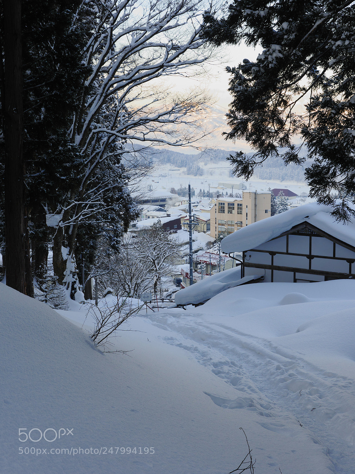 Panasonic Lumix DMC-GX8 sample photo. Snow morning in nozawa photography