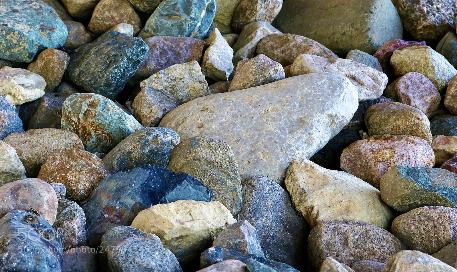 Canon EOS 7D Mark II sample photo. Colorful photography