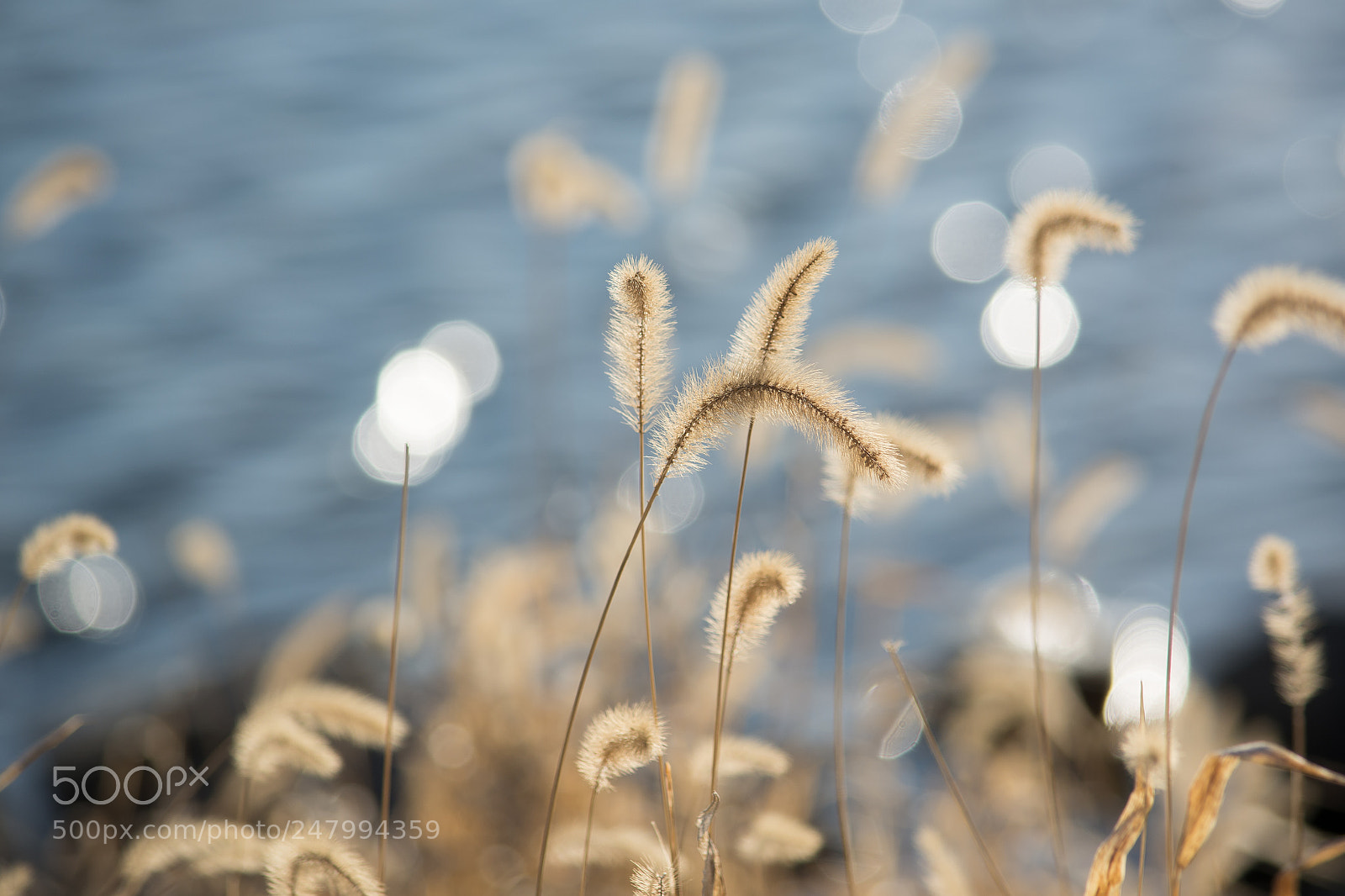 Nikon D7100 sample photo. Reflections by the lake photography