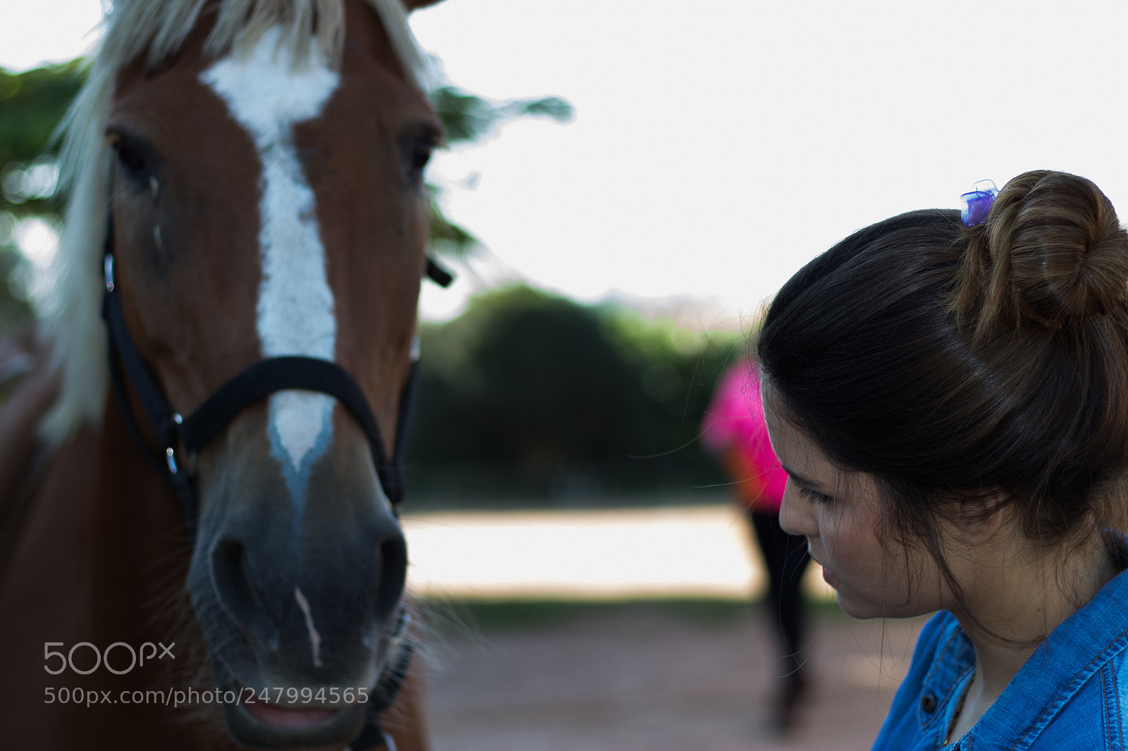 Canon EOS 700D (EOS Rebel T5i / EOS Kiss X7i) sample photo. New lifestyle, ana luisa photography