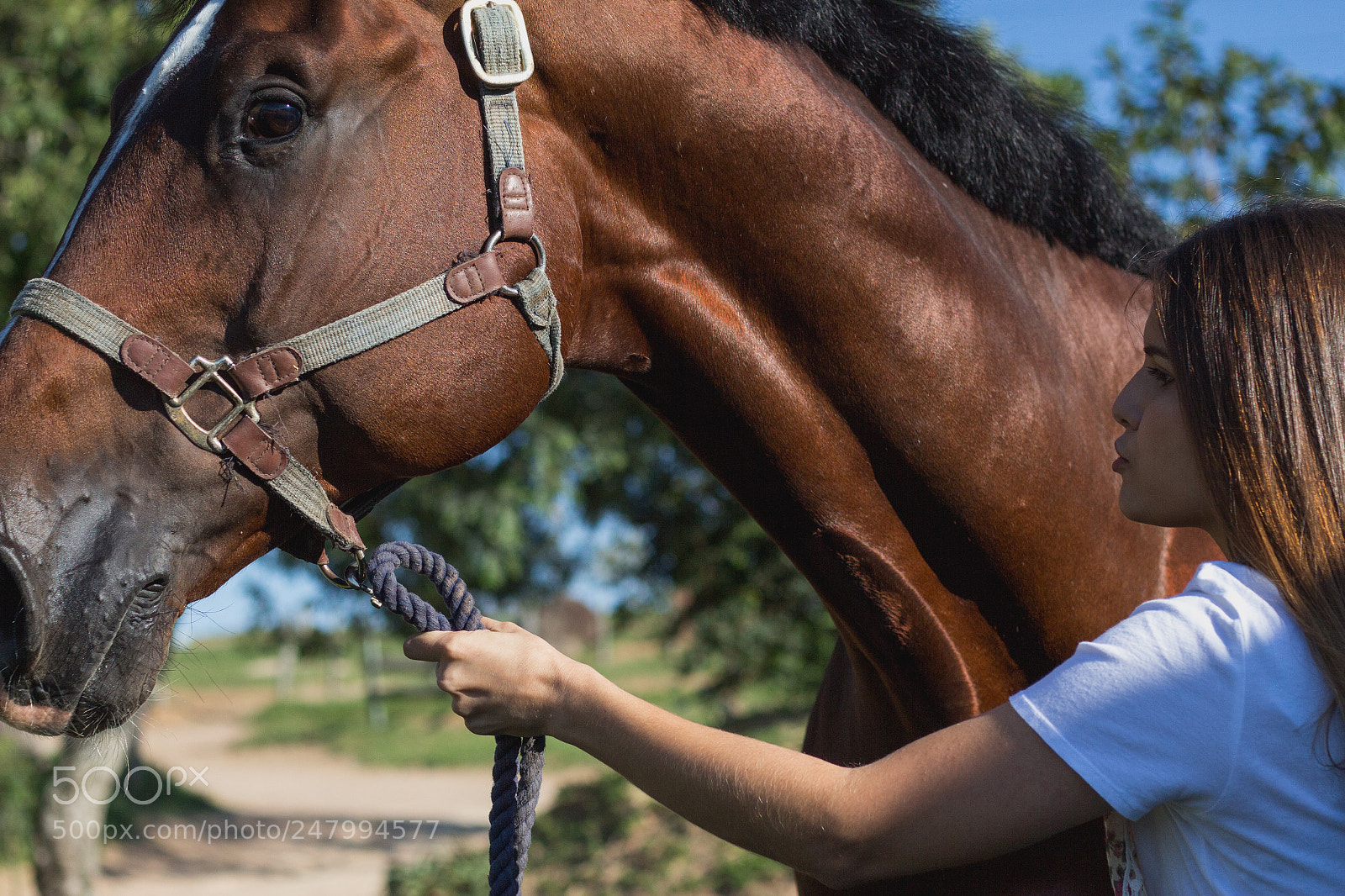 Canon EOS 700D (EOS Rebel T5i / EOS Kiss X7i) sample photo. New lifestyle, ana luisa photography