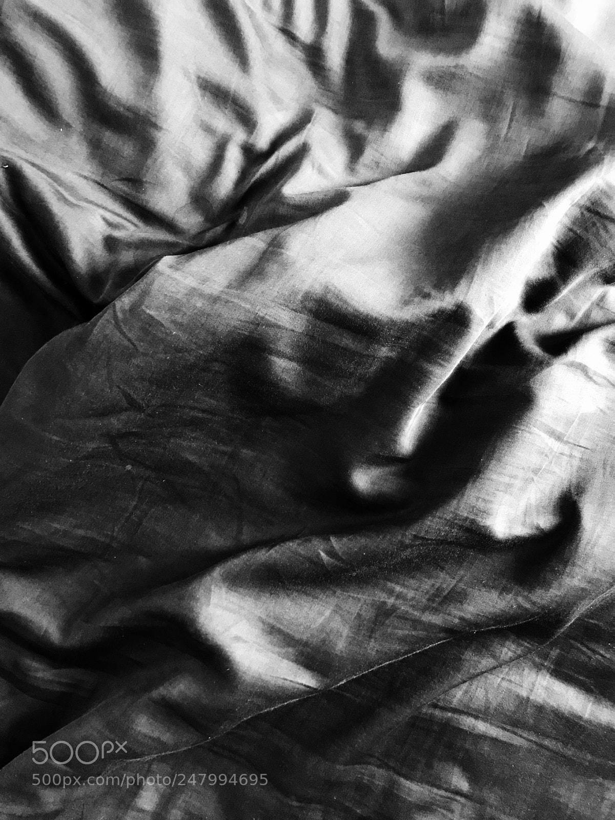 Apple iPhone 7 Plus sample photo. The morning after. (iii) photography