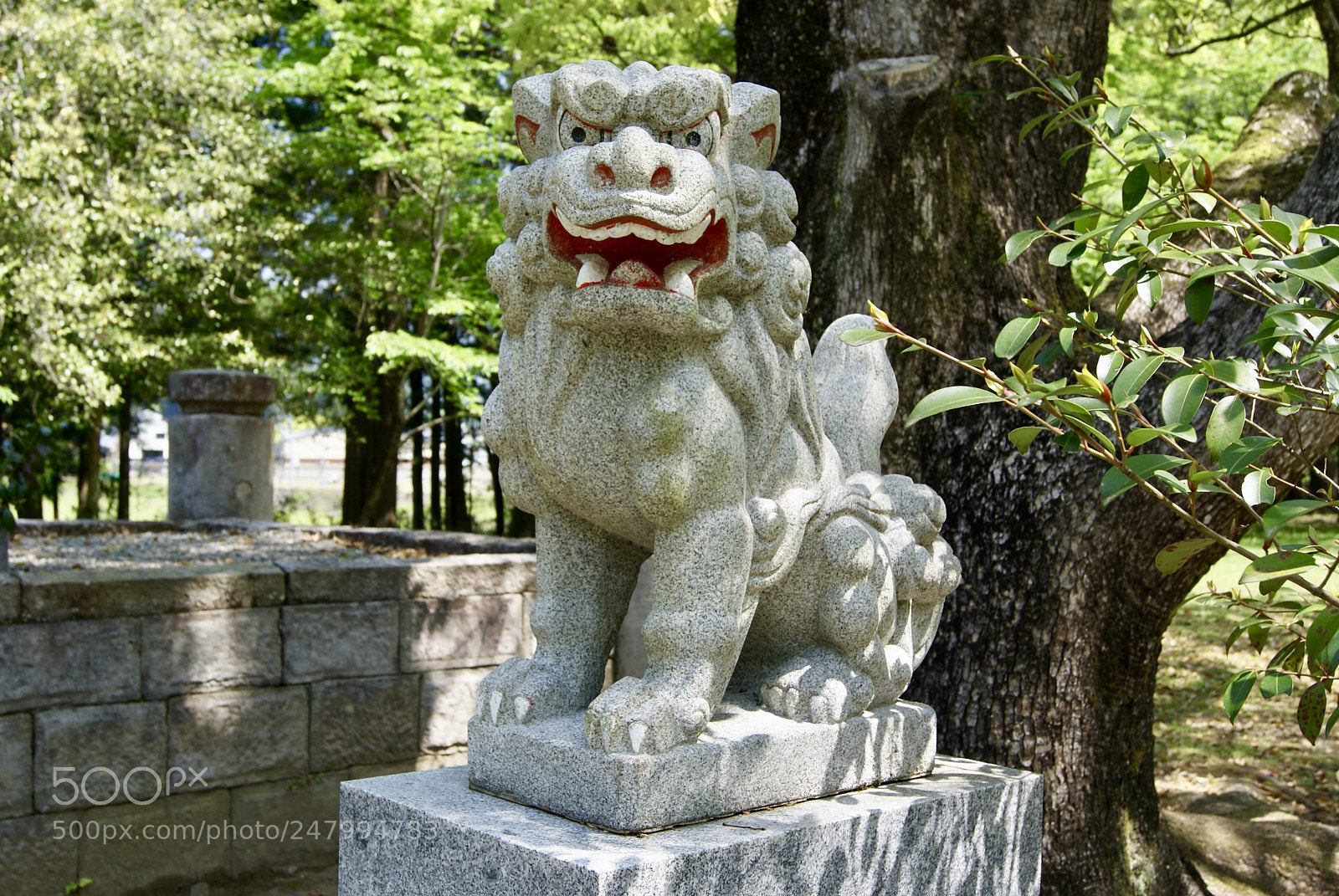Sony Alpha DSLR-A330 sample photo. 大斎原の狛犬 photography