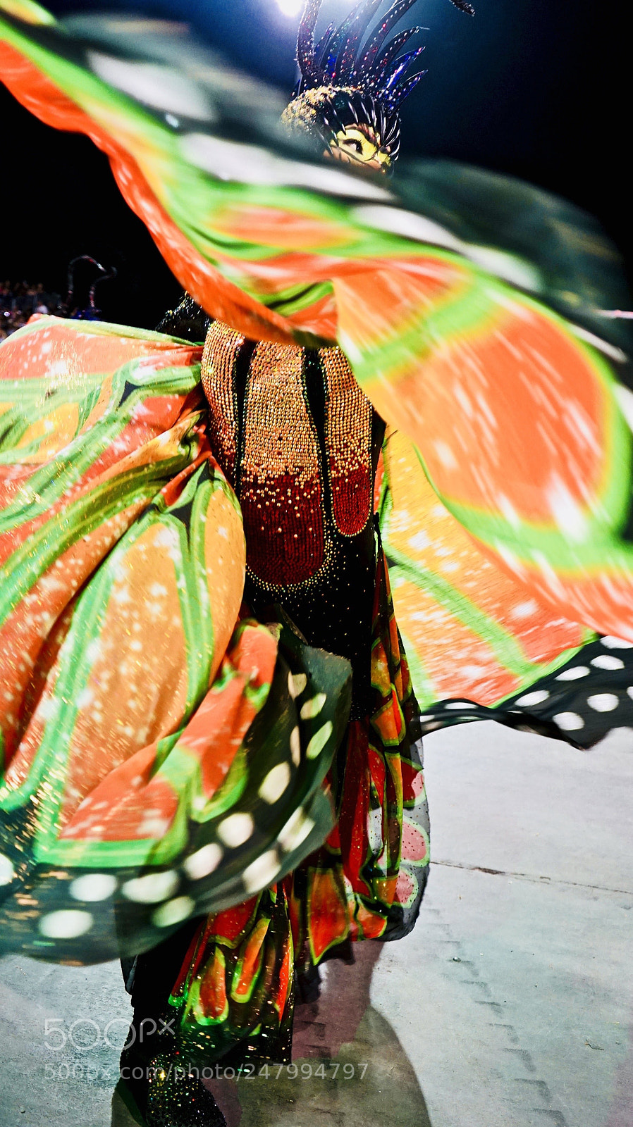 Sony a7 sample photo. Butterfly photography
