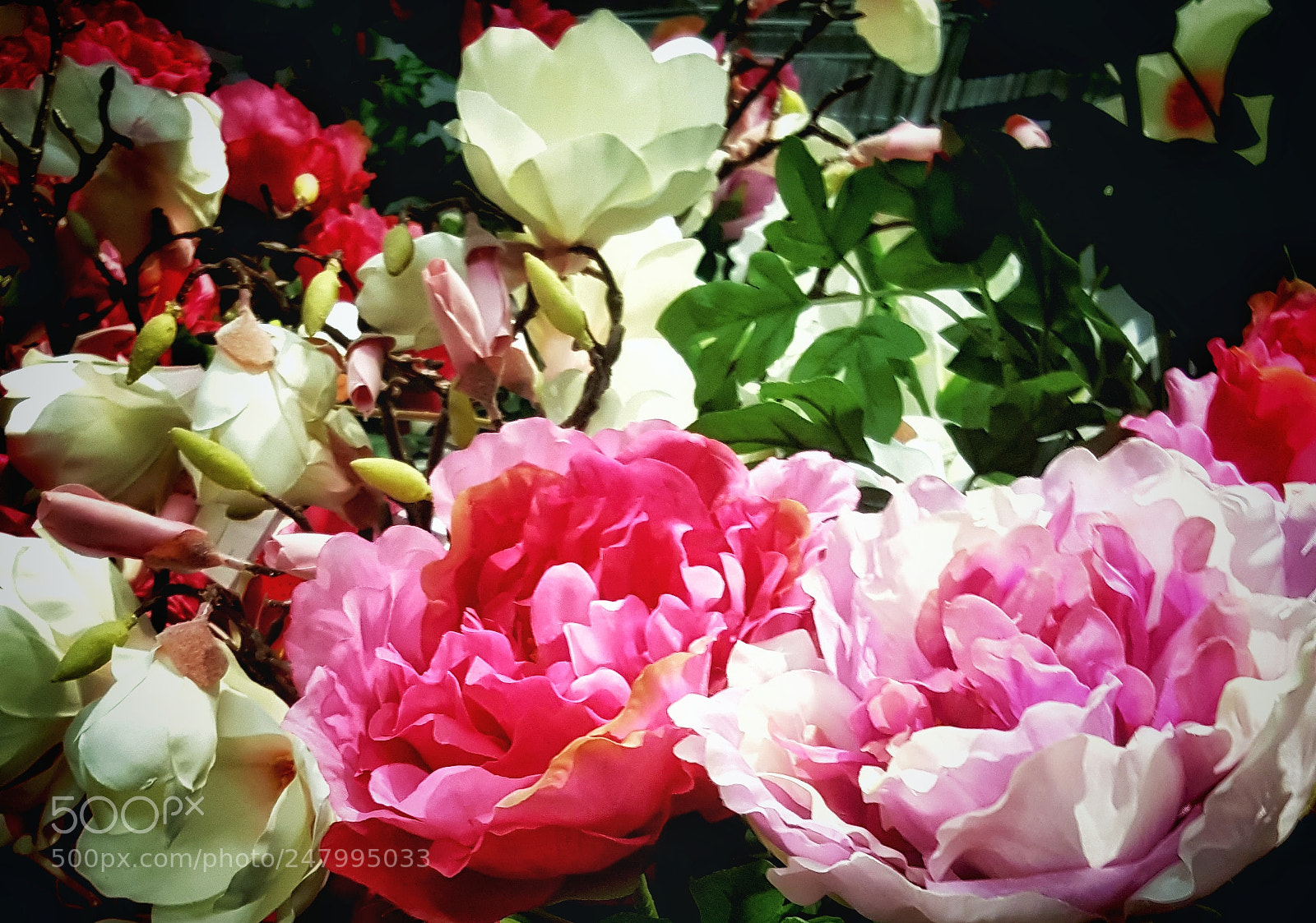 Samsung Galaxy Note5 sample photo. Floral photography