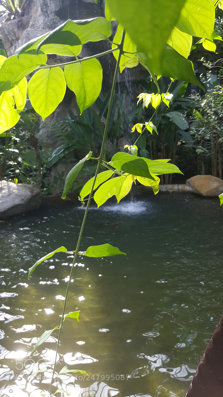Samsung Galaxy Note5 sample photo. Untitled photography
