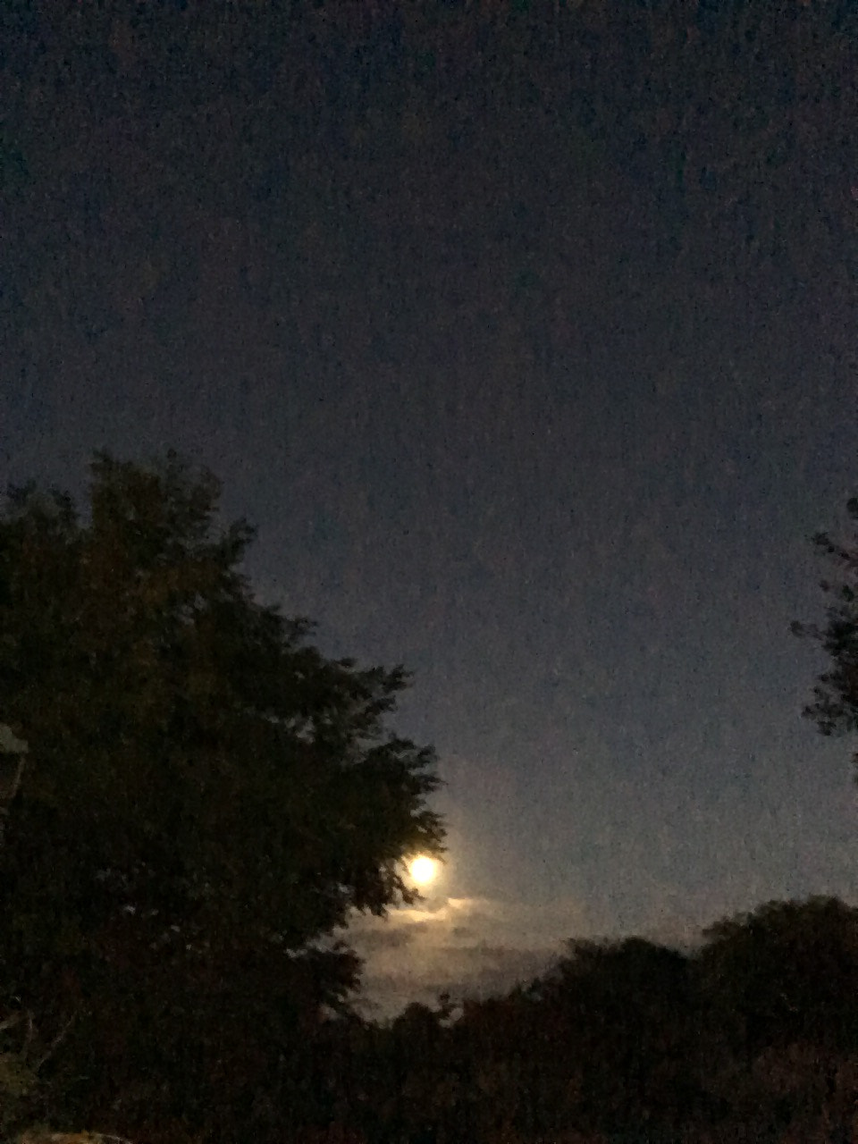 Apple iPad (5th generation) sample photo