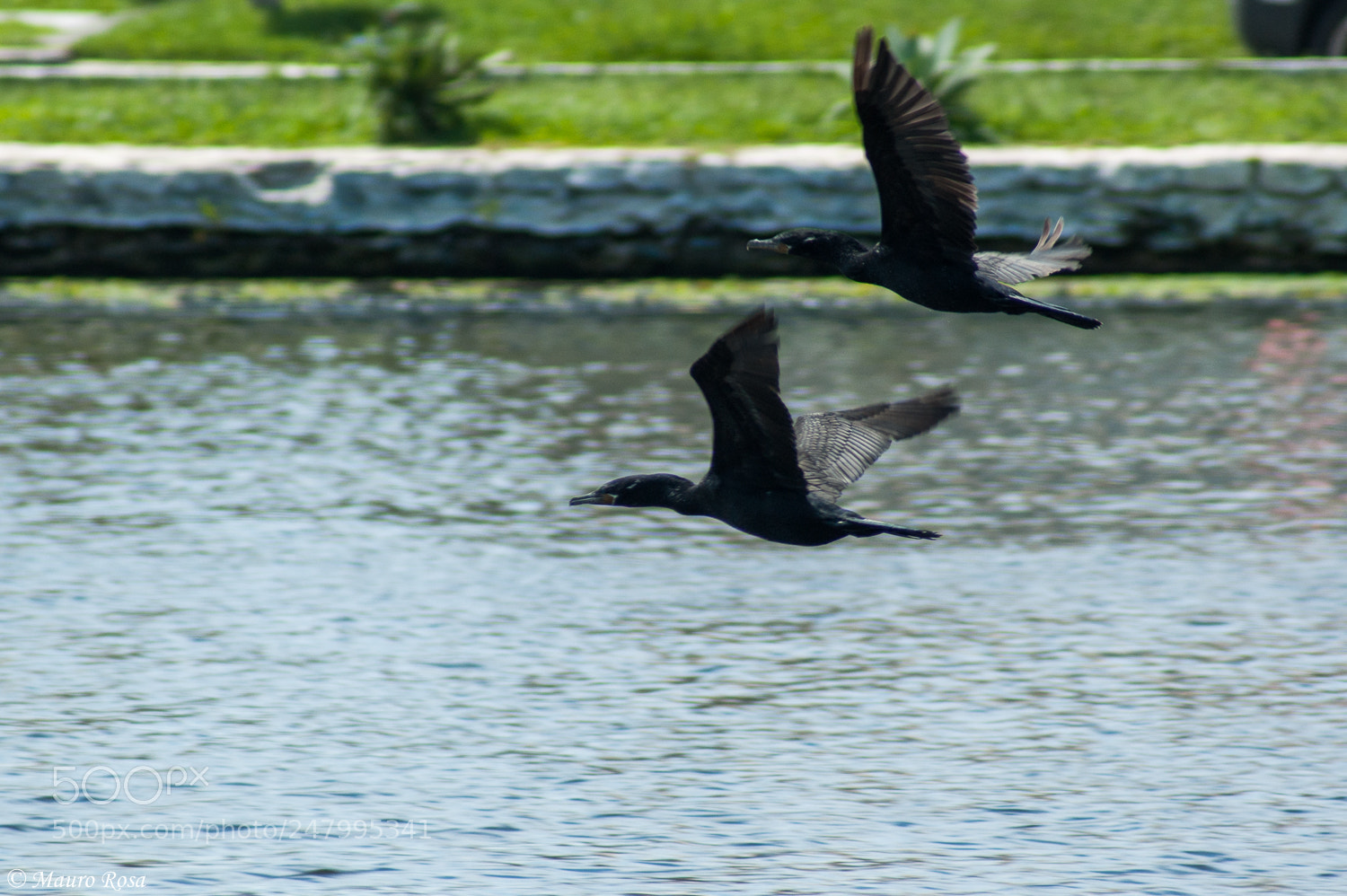 Sony Alpha DSLR-A350 sample photo. Flying couple photography