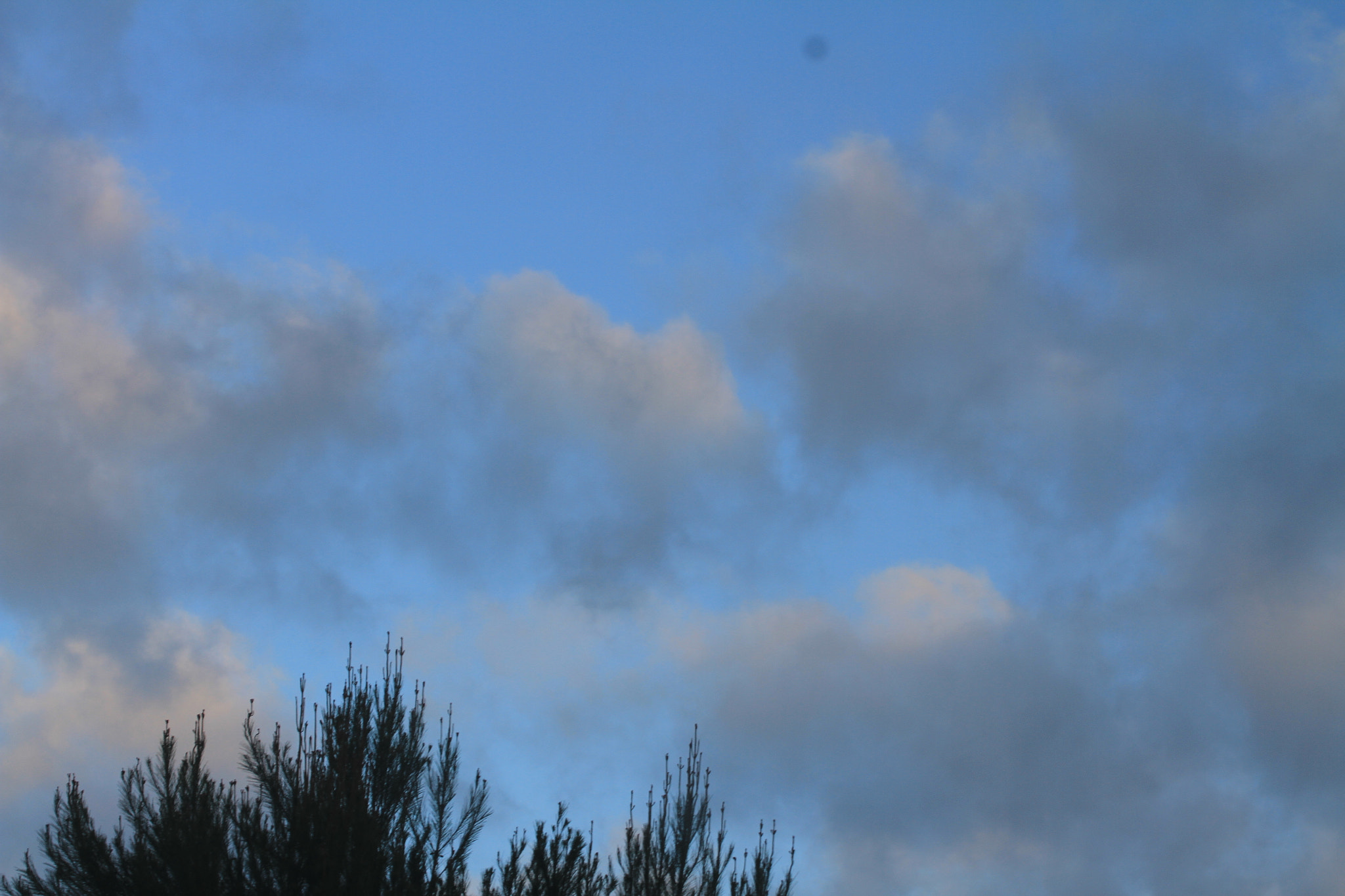 Canon EF-S 60mm F2.8 Macro USM sample photo. Cloudy days photography