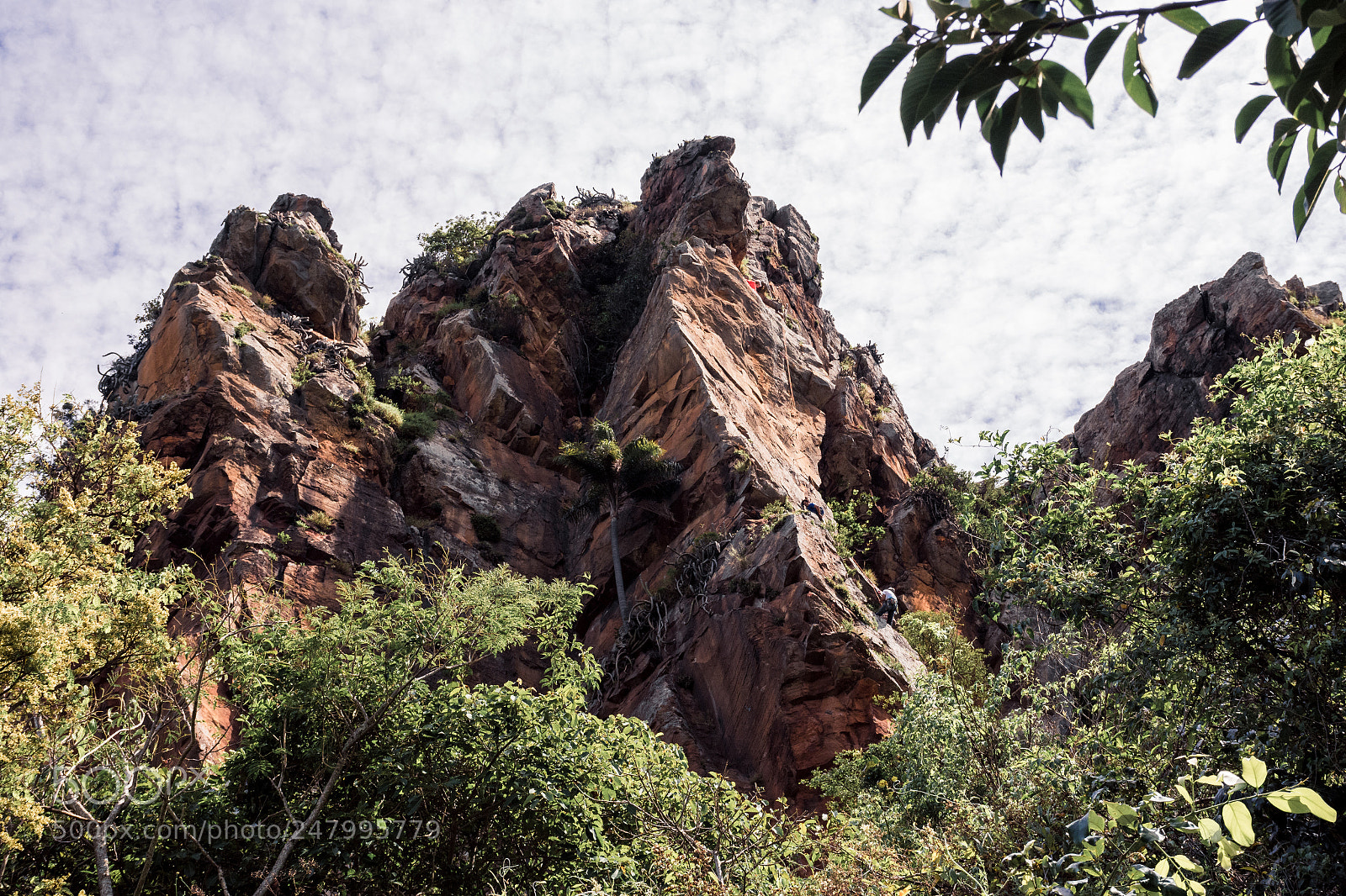 Nikon D7200 sample photo. Cuscuzeiro mount photography