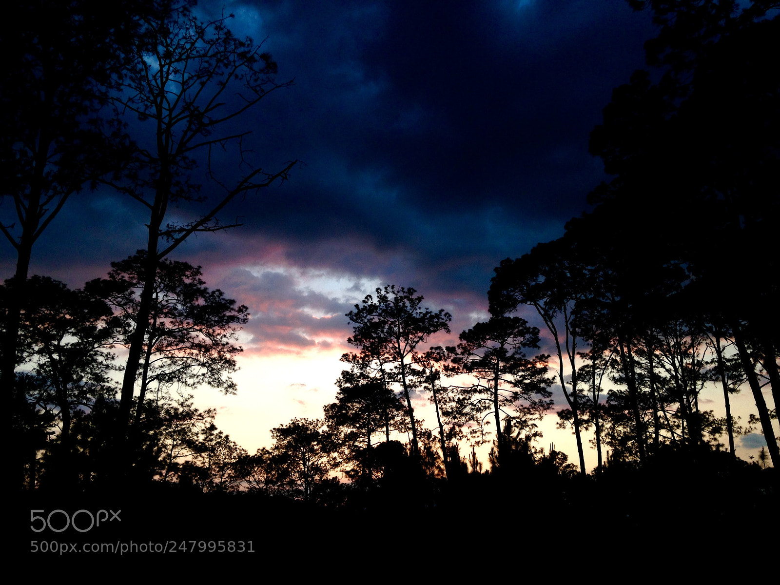 Apple iPhone 5c sample photo. Ocaso photography