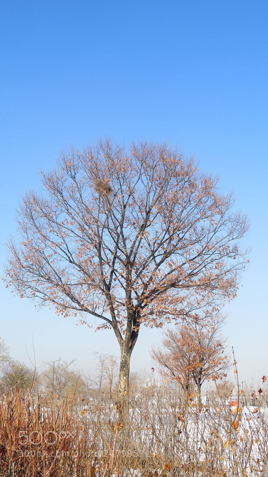 Canon PowerShot SX50 HS sample photo. Landscapes 58 photography