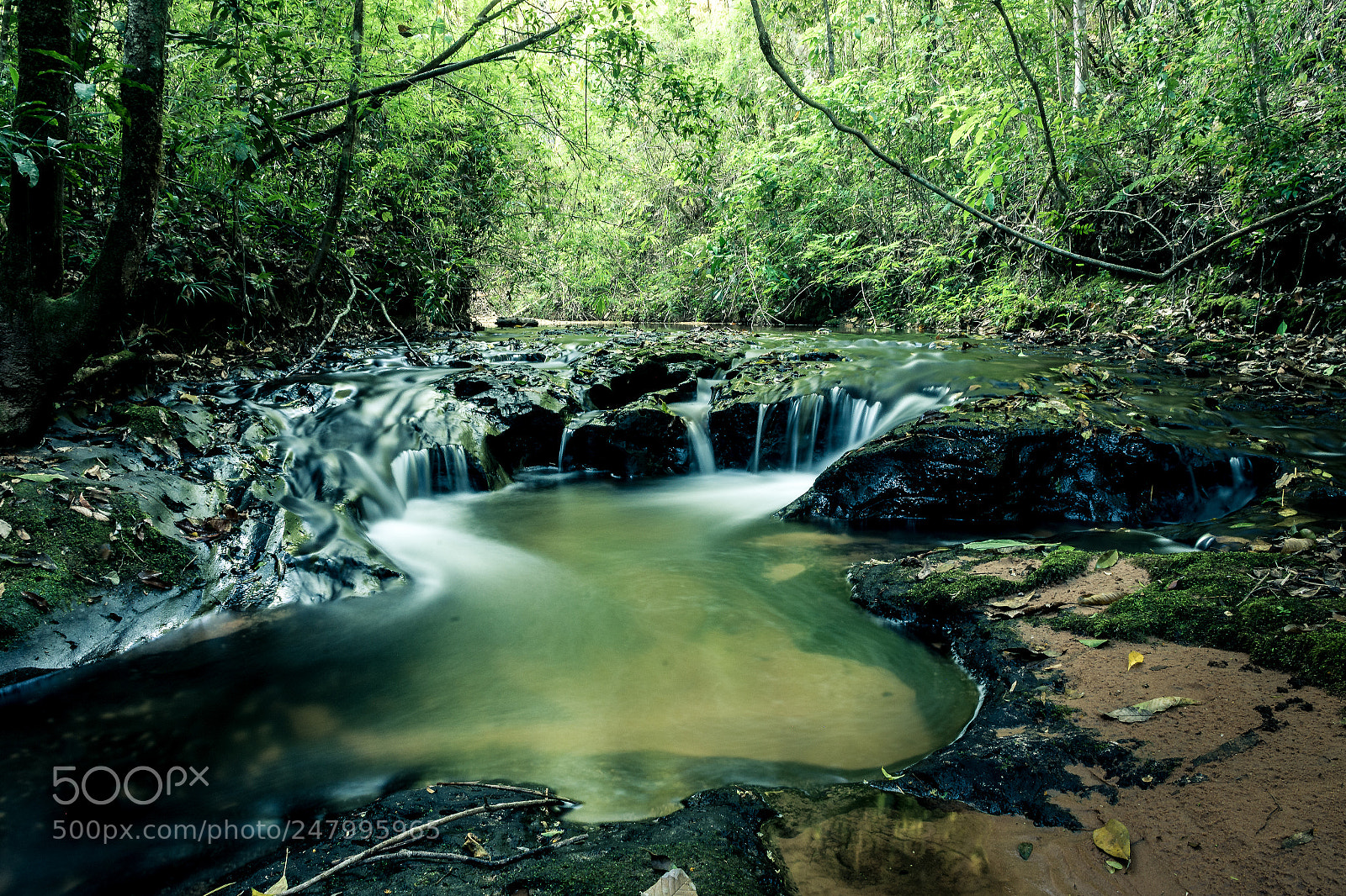 Nikon D7200 sample photo. Untitled photography