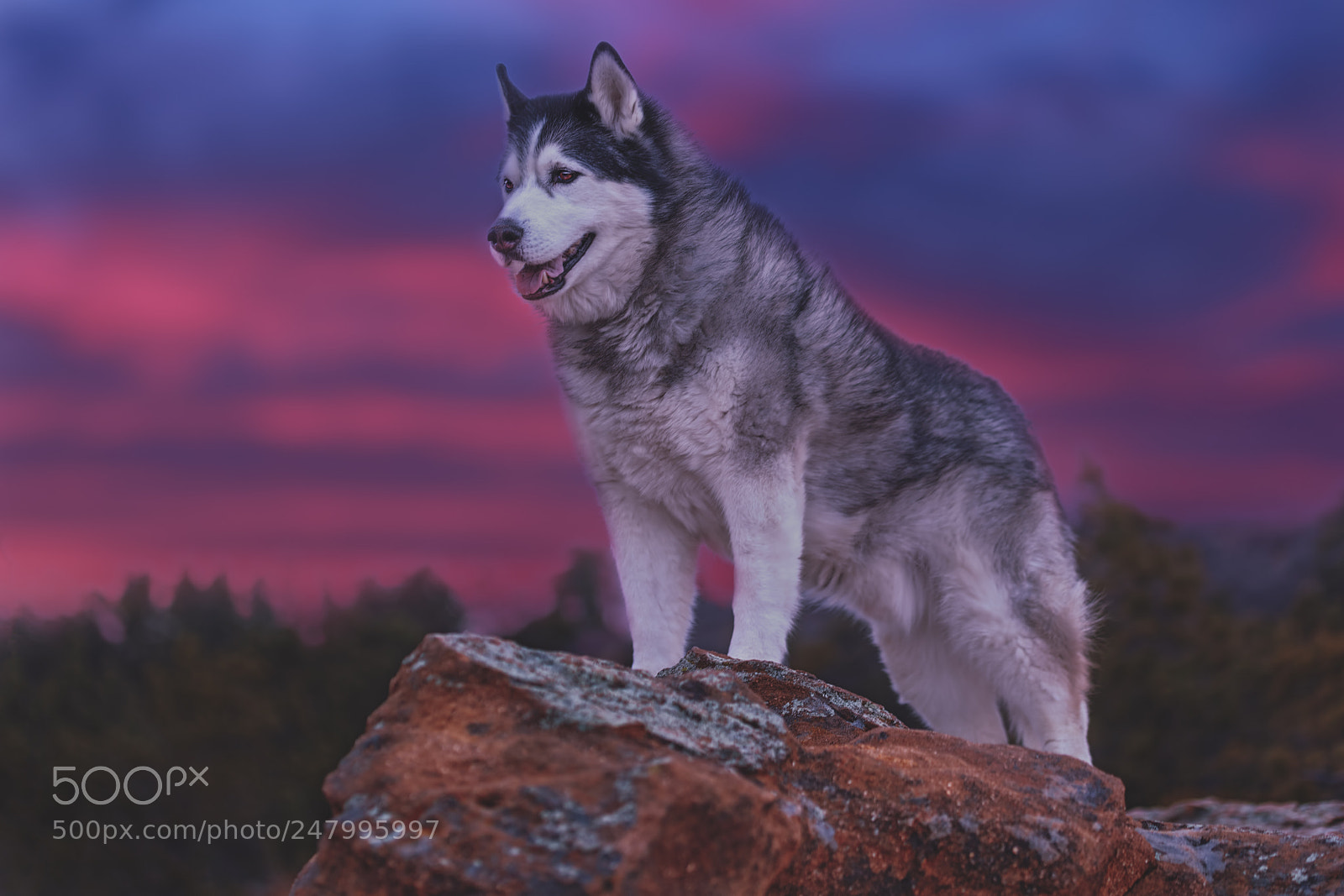 Canon EOS 5DS sample photo. Timber photography