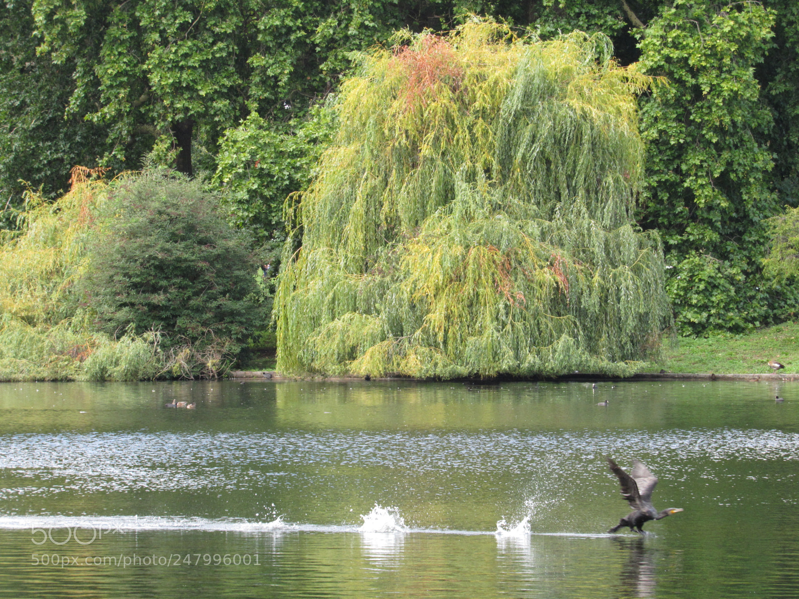 Canon PowerShot SX520 HS sample photo. Take off photography