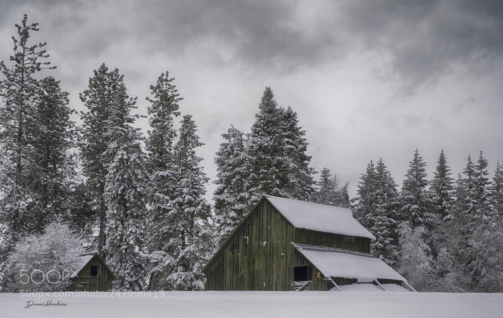 Nikon D3200 sample photo. Hayden barn photography