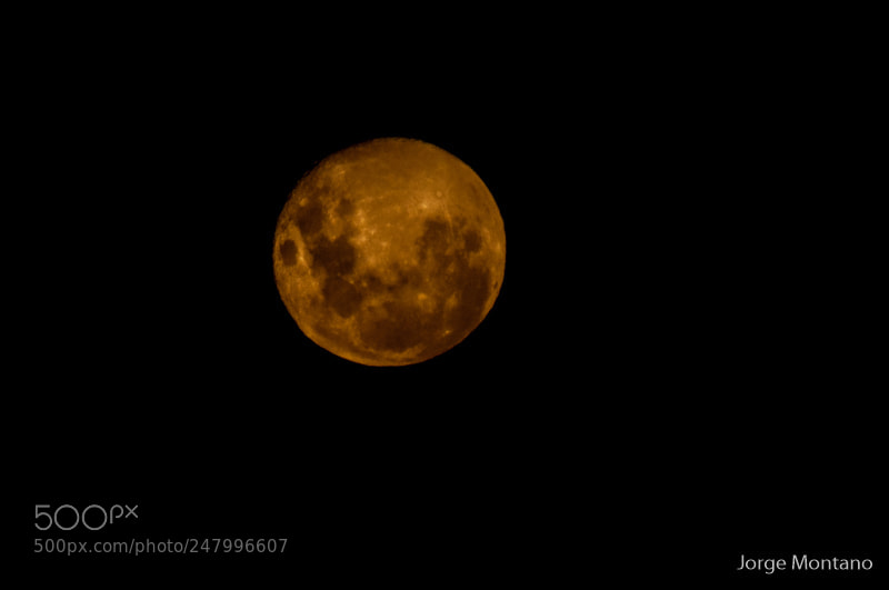 Nikon D90 sample photo. Luna full photography