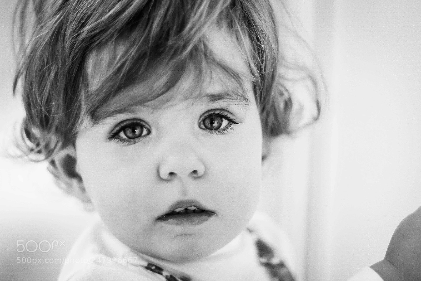 Canon EOS 60D sample photo. Img photography