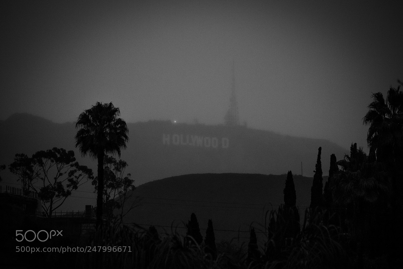 Canon EOS 750D (EOS Rebel T6i / EOS Kiss X8i) sample photo. Hollywood fog photography