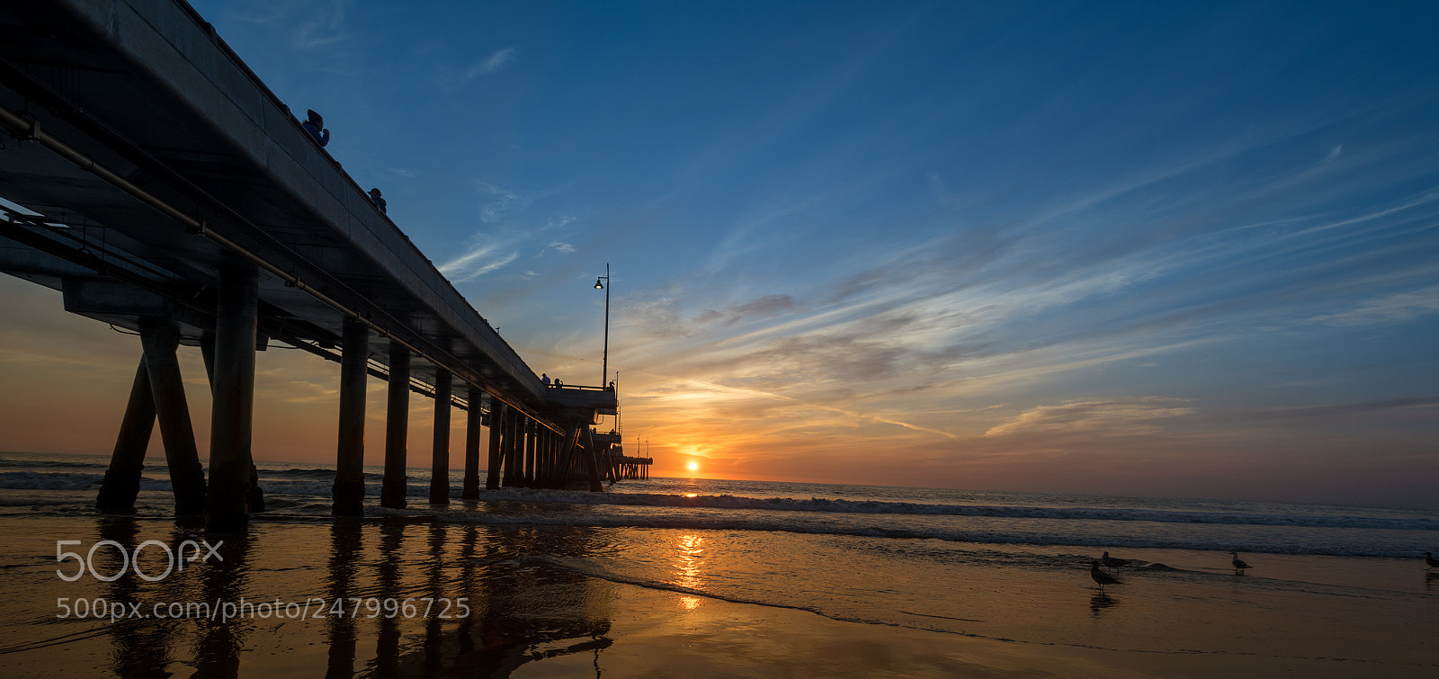 Nikon D850 sample photo. Beach california - pier photography