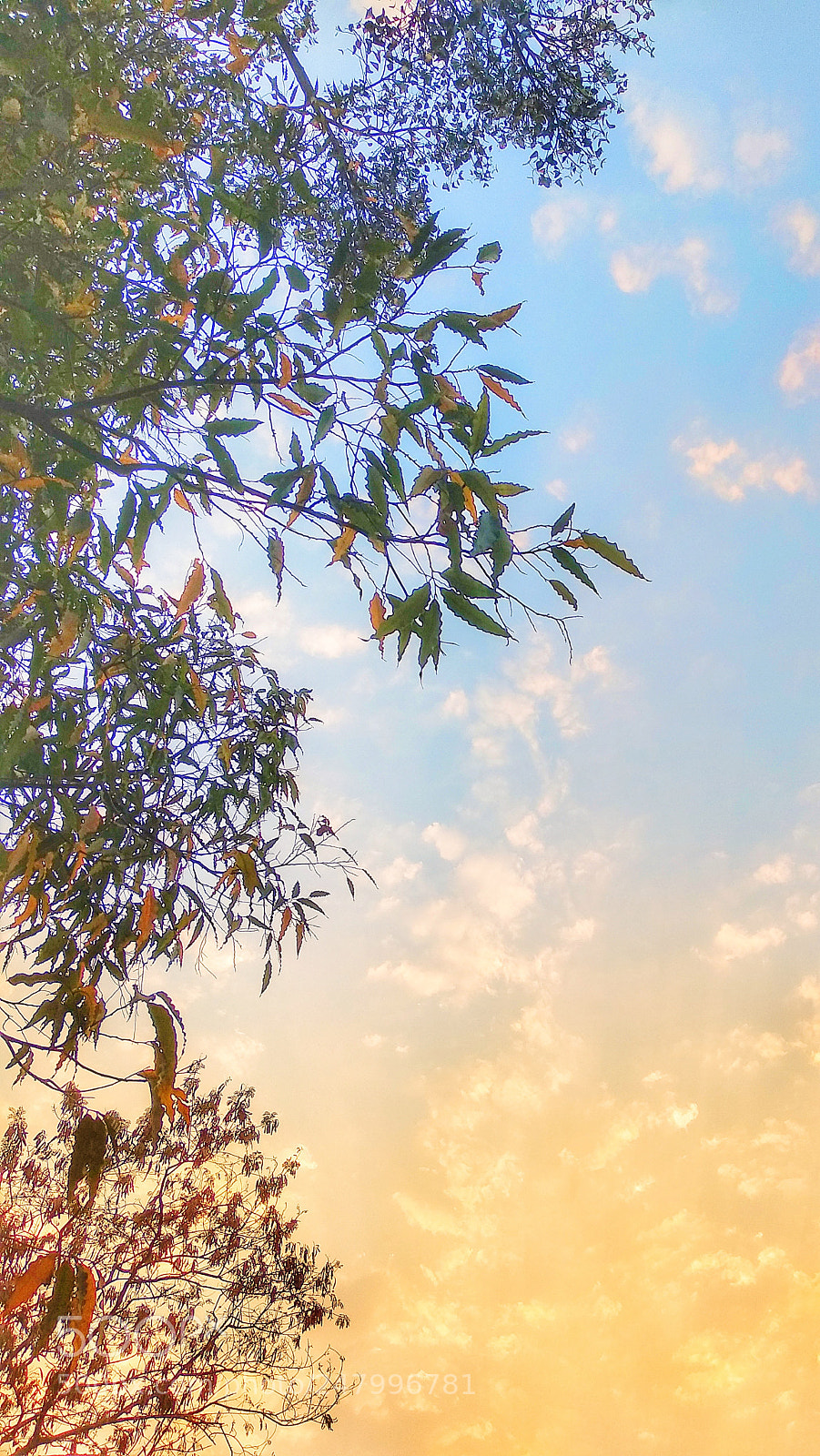 Xiaomi Mi A1 sample photo. Untitled photography